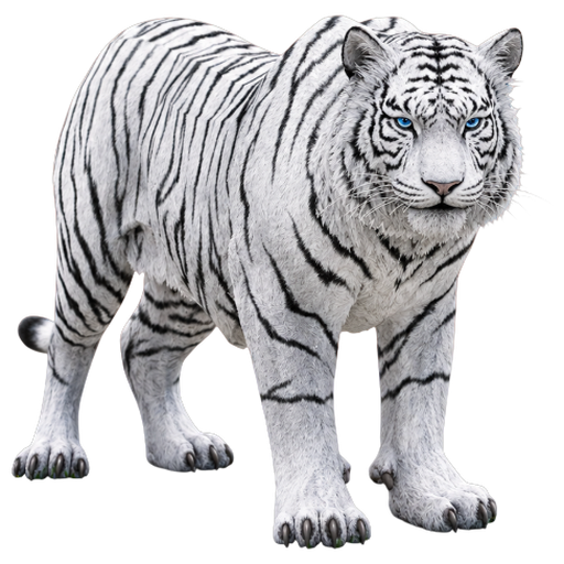 Tigor